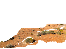 This will display an animated GIF